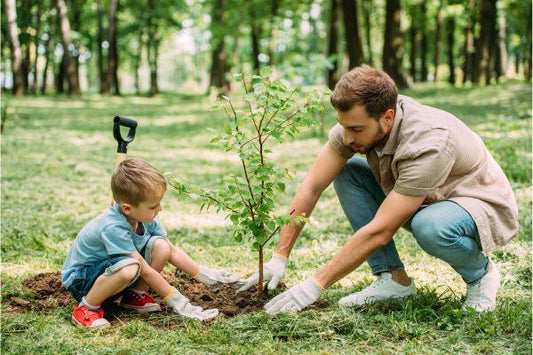 Easy Ways to Go Green: From Planting Trees to Plastic-Free Personal Care - TidaloveUS