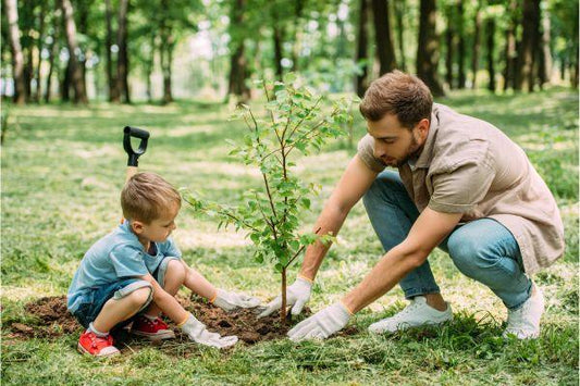 Easy Ways to Go Green: From Planting Trees to Plastic-Free Personal Care - TidaloveUS