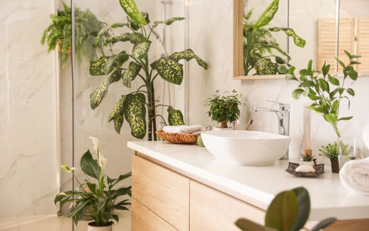 7 Practical Tips for a Plastic-Free Bathroom