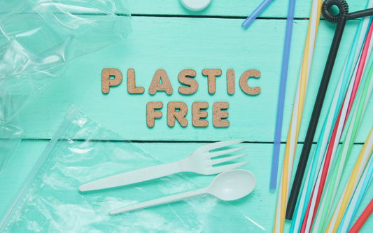 plastic-free life style make a positive impact