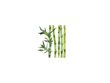 Tidalove oral care toothpaste tablets bamboo salt