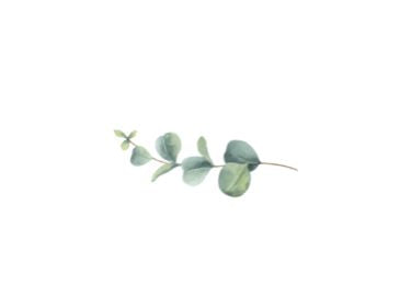 Tidalove oral care toothpaste tablets eucalyptus oil