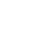 Leaping Bunny