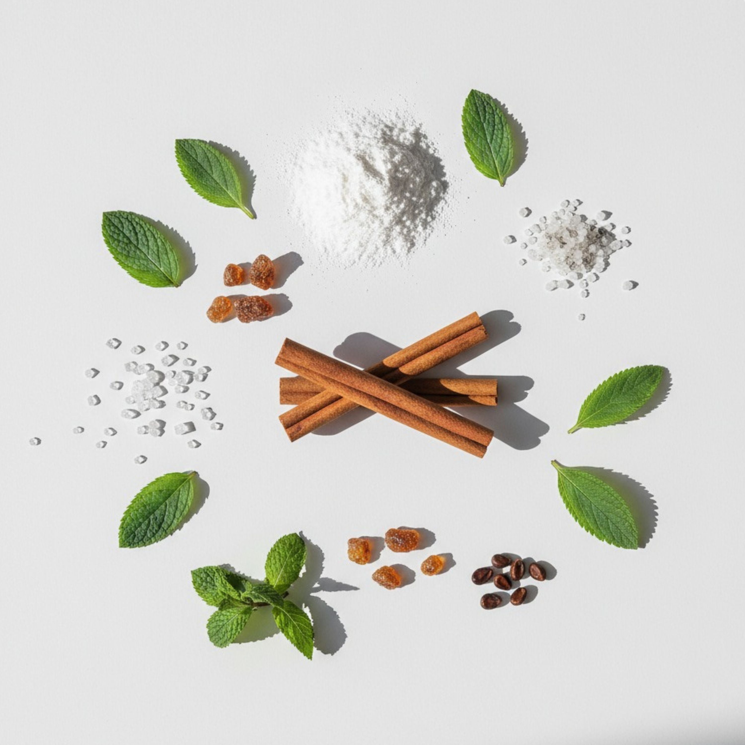 Spices and herbs including cinnamon sticks, mint leaves, and raisins arranged on a white background.