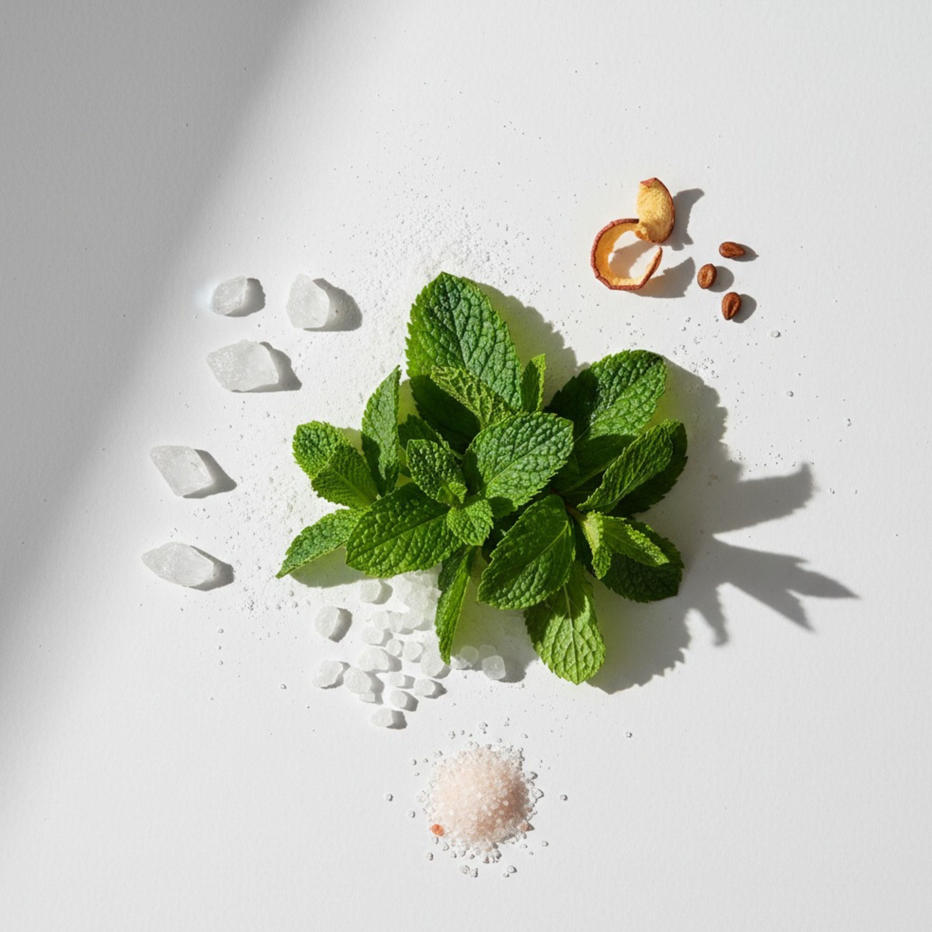 Mint leaves with small stones and dried herbs on a white surface