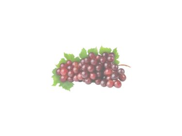 Tidalove oral care  toothpaste tablets grape seed extract